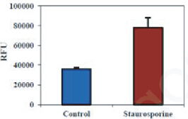 BBI細胞組學產品秋冬促銷火熱開啟，放開價勢無需再等