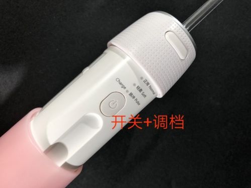 深度測(cè)評(píng)！潔碧、松下、羅曼、歌嵐四大便攜式?jīng)_牙器，哪款更值得買(mǎi)？